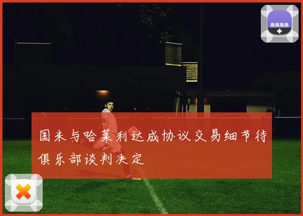 国米与哈莱利达成协议交易细节待俱乐部谈判决定