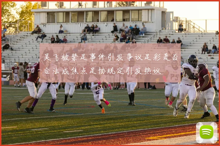 吴飞被禁足事件引发争议足彩是否合法成焦点足协规定引发热议