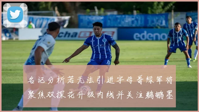 名记分析若无法引进字母哥绿军将聚焦双探花升级内线并关注鹈鹕墨菲