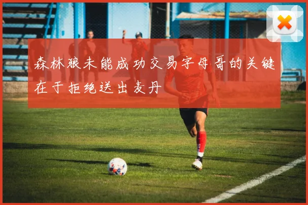 森林狼未能成功交易字母哥的关键在于拒绝送出麦丹